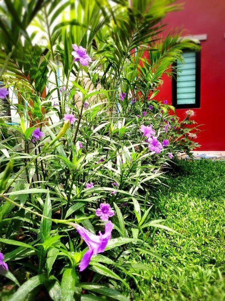Отель Mulberry House Pak Thong Chai Экстерьер фото
